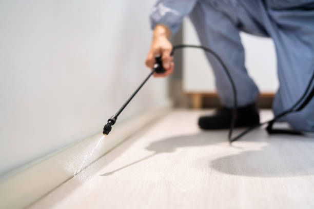 Pest Control Cost in North Haverhill, NH